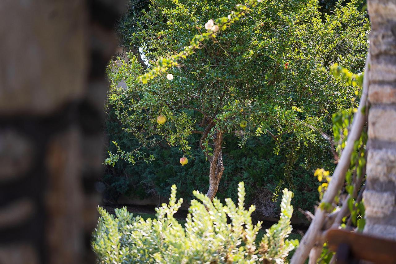Vila Kaly Solana Agia Anna  Exteriér fotografie